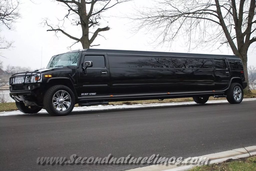 Celebrate in Comfort and Style: Burr Ridge Limousine for Special Events