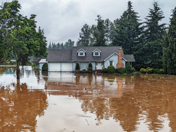 Big Flood Insurance Companies vs. Going Local: What Actually Protects You When Water&nbsp;Hits